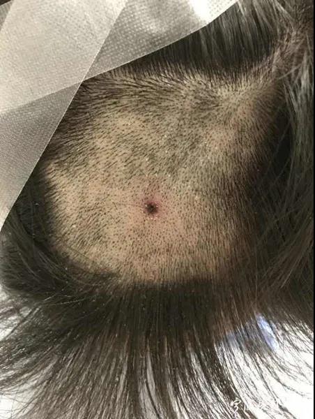 正版管家婆今晚资料