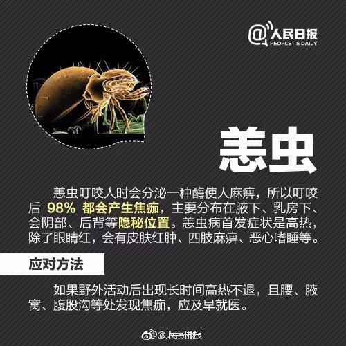 正版管家婆今晚资料
