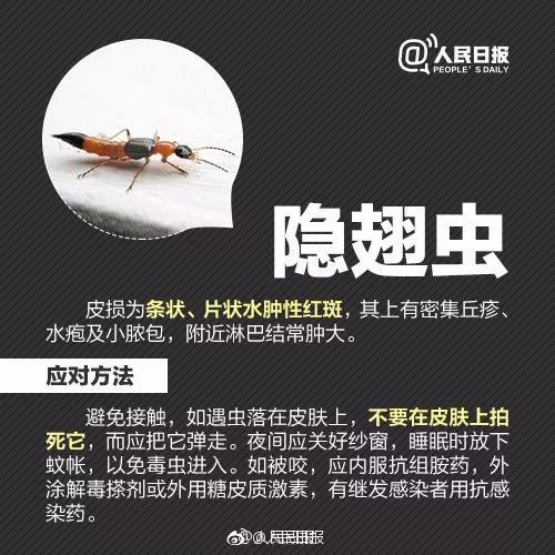 正版管家婆今晚资料
