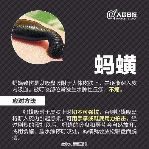 正版管家婆今晚资料