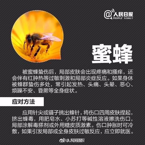 正版管家婆今晚资料