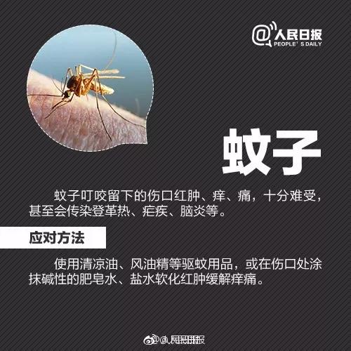 正版管家婆今晚资料
