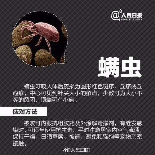 正版管家婆今晚资料