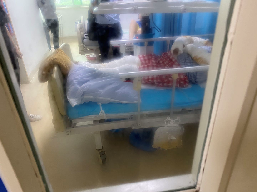 正版管家婆今晚资料