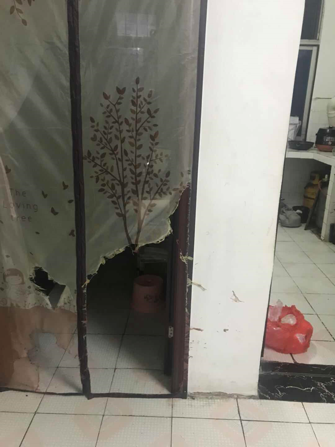 正版管家婆今晚资料