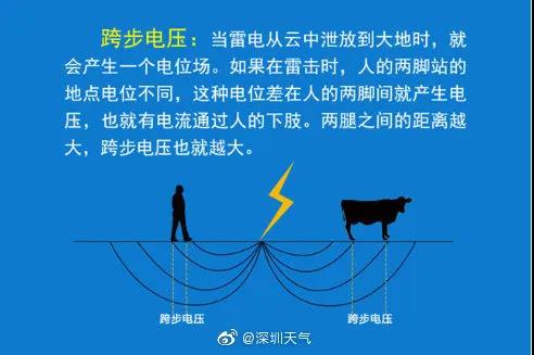 正版管家婆今晚资料