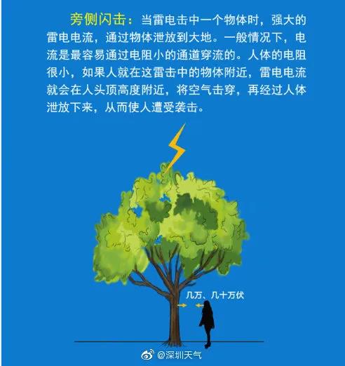 正版管家婆今晚资料