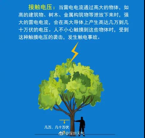 正版管家婆今晚资料