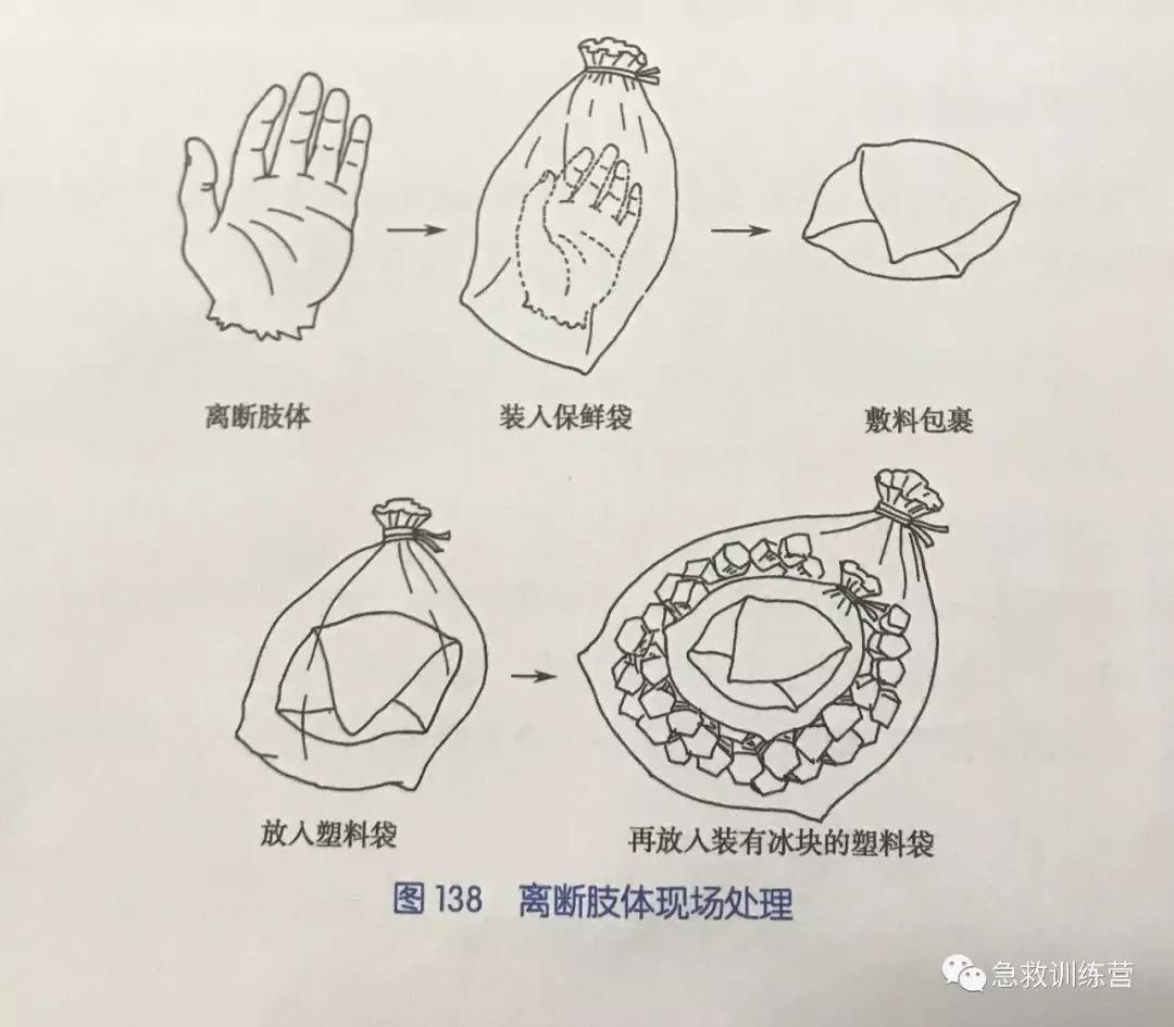 正版管家婆今晚资料
