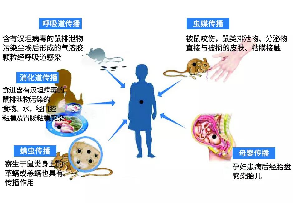 正版管家婆今晚资料