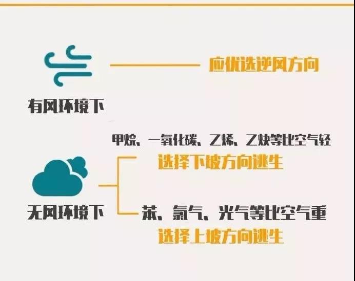 正版管家婆今晚资料