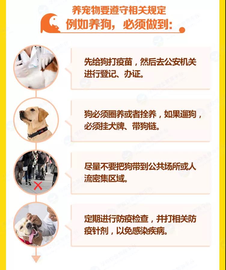 正版管家婆今晚资料