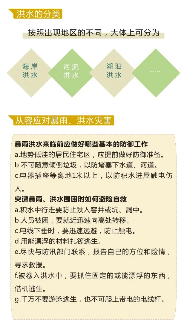 正版管家婆今晚资料
