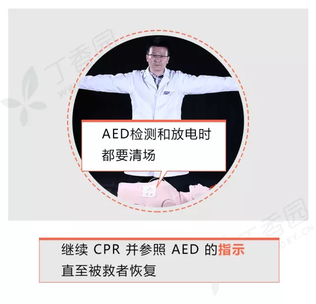 正版管家婆今晚资料