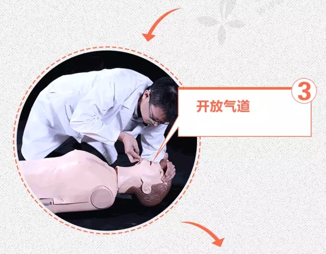 正版管家婆今晚资料