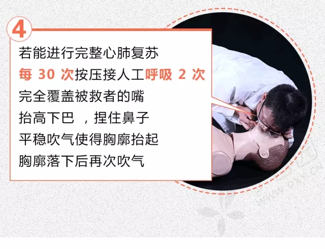 正版管家婆今晚资料