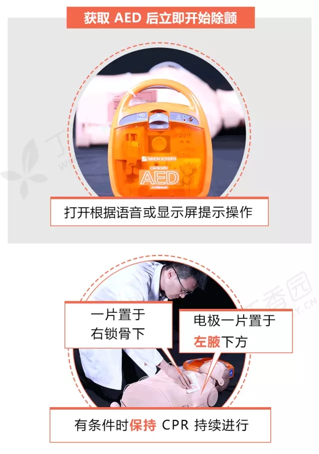 正版管家婆今晚资料