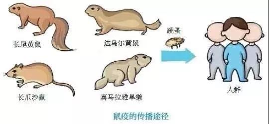 正版管家婆今晚资料