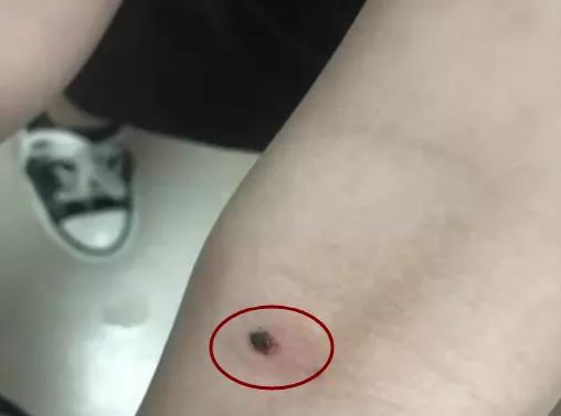 正版管家婆今晚资料