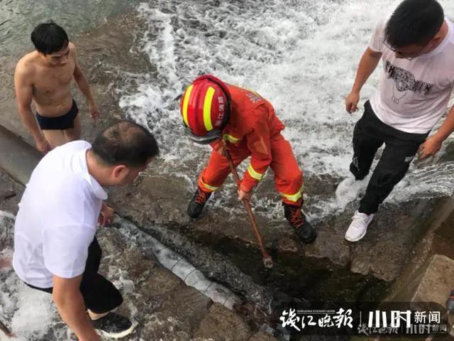 正版管家婆今晚资料