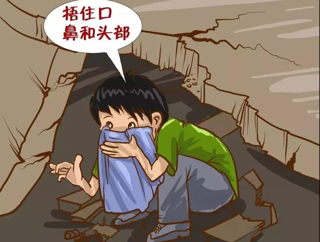 正版管家婆今晚资料