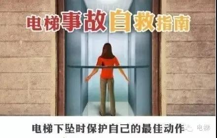 正版管家婆今晚资料