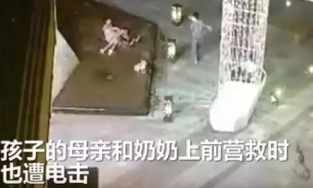 正版管家婆今晚资料