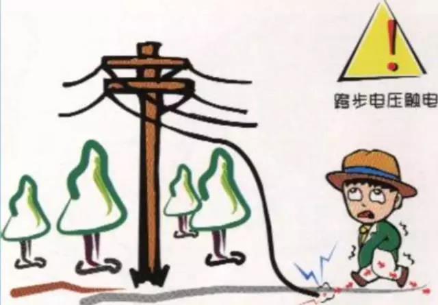 正版管家婆今晚资料