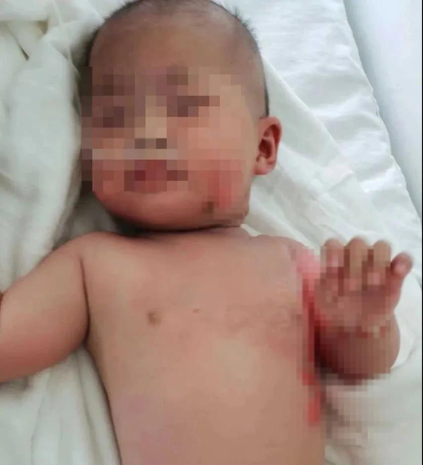 正版管家婆今晚资料