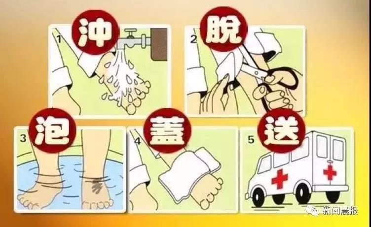 正版管家婆今晚资料