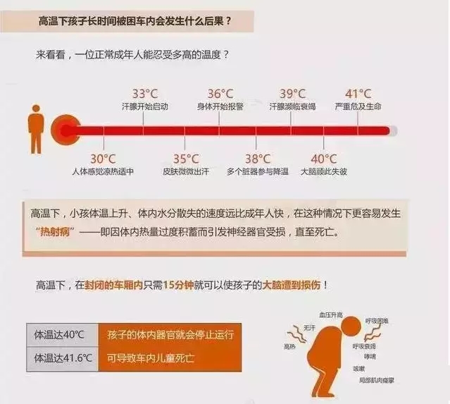 正版管家婆今晚资料