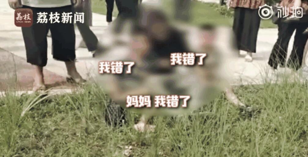 正版管家婆今晚资料