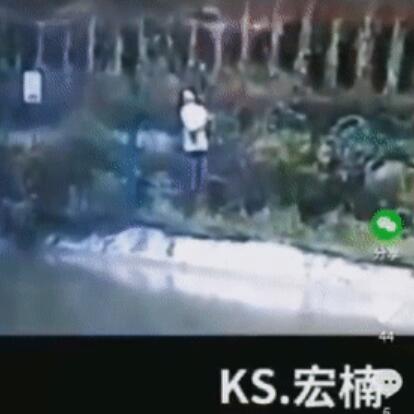 正版管家婆今晚资料