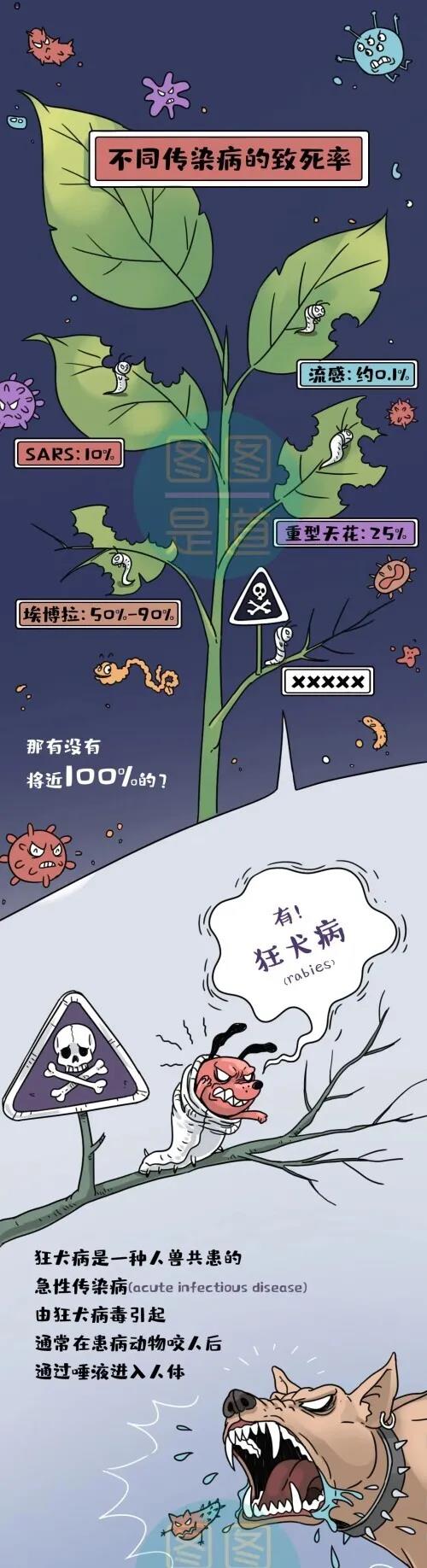 正版管家婆今晚资料