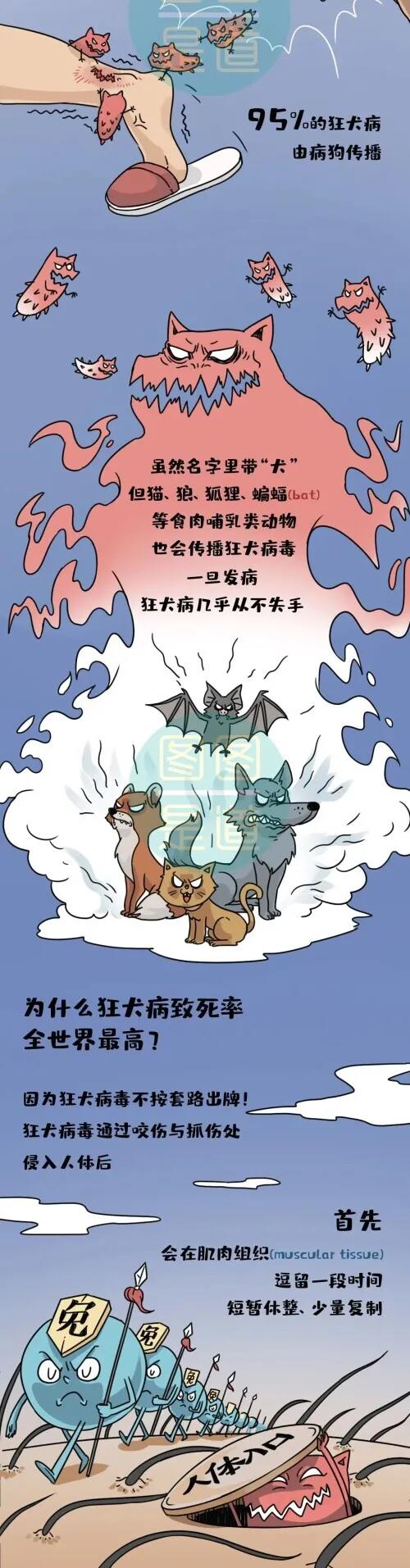 正版管家婆今晚资料