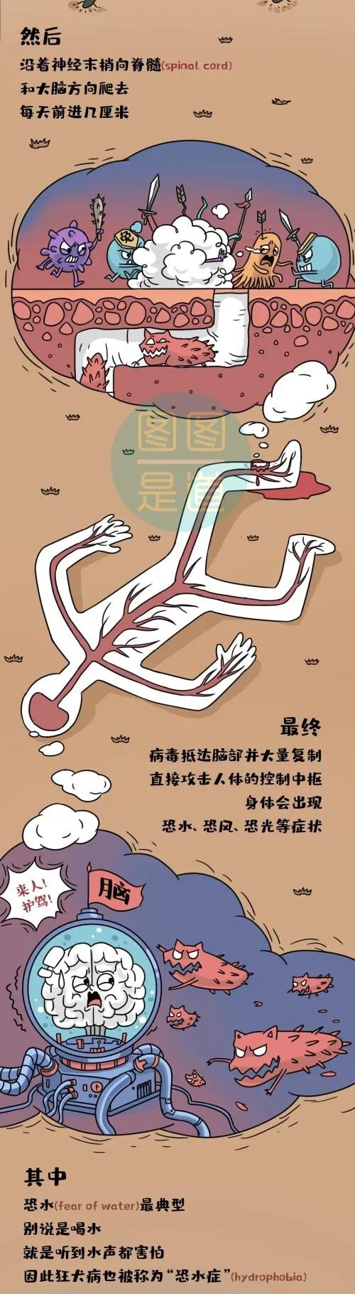 正版管家婆今晚资料